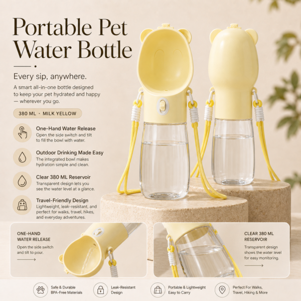 Travel Water Bottle